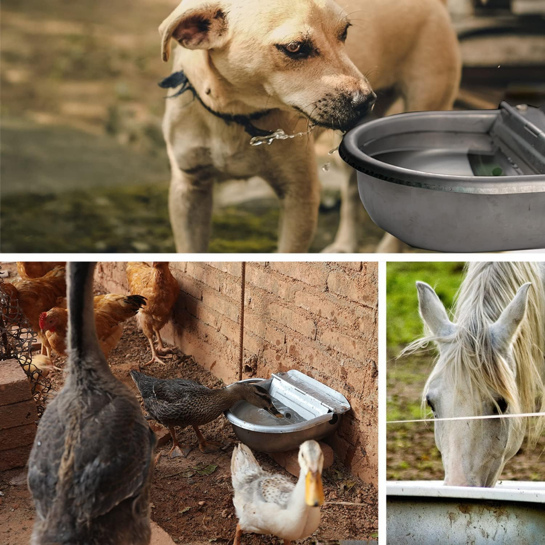AquaFlow Pet Water Bowl