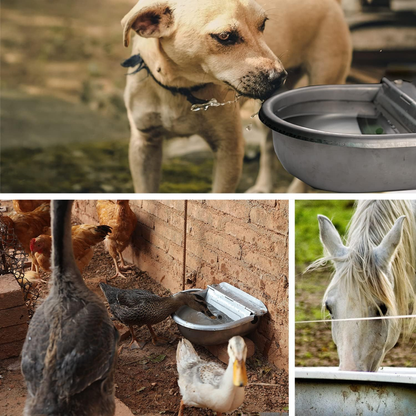 AquaFlow Pet Water Bowl