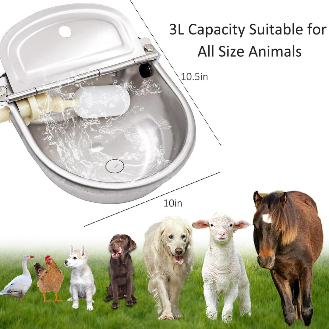 AquaFlow Pet Water Bowl